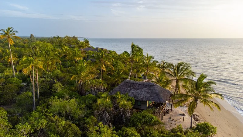 7 Days Mkomazi, Usambara, Saadan and Beach Relaxation - Tanzania safari gallery image